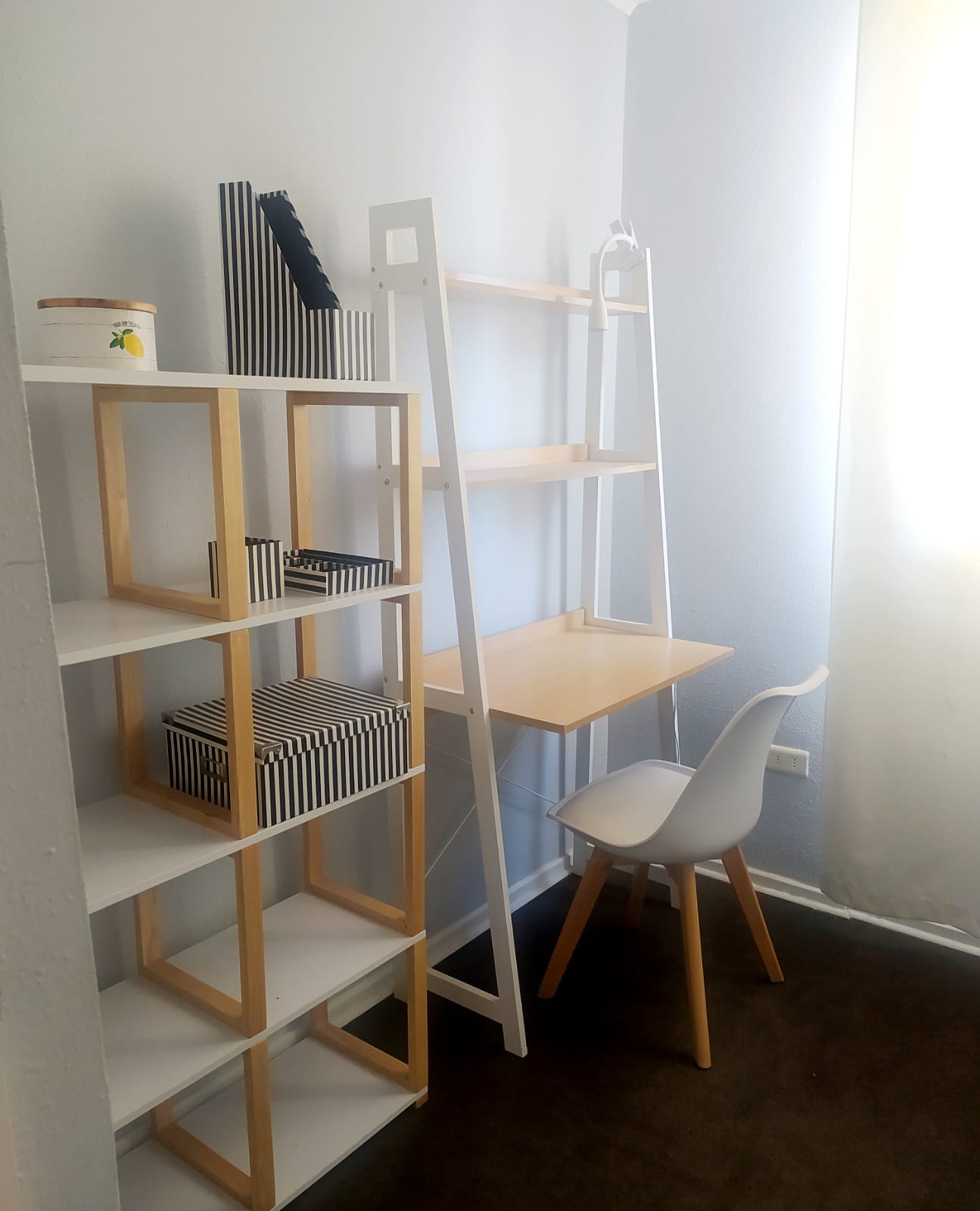 WhatsApp Image 2022-01-13 at 11.24.53 AM (1)