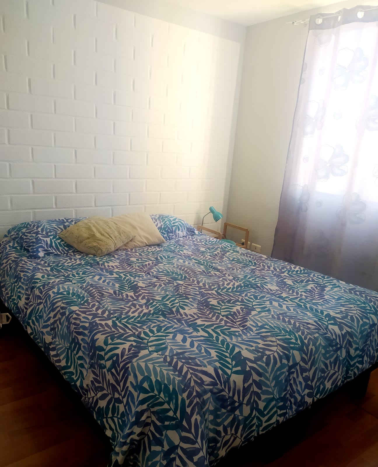 WhatsApp Image 2022-01-13 at 11.24.53 AM