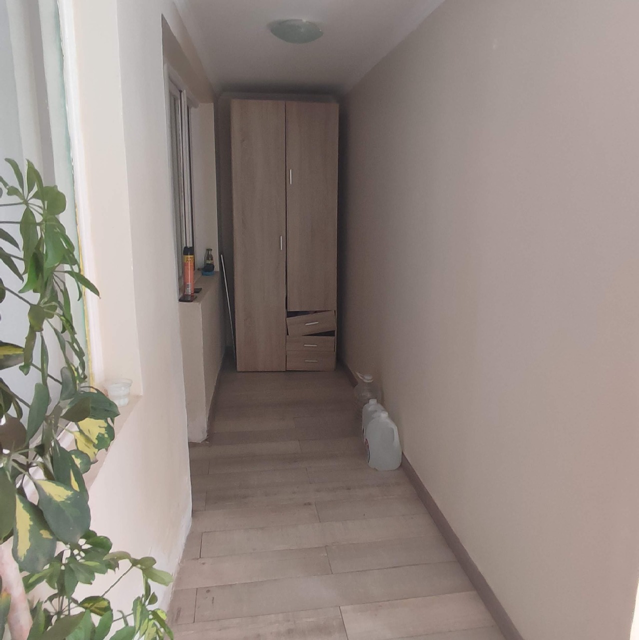 WhatsApp Image 2022-05-04 at 8.06.15 PM